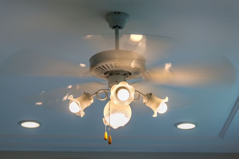 Ceiling Fan Mounting in Wilmington, NC